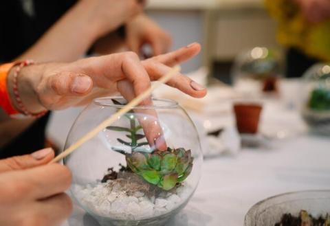 Making a terrarium