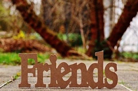 An image of trees in the background and a sign that says "Friends" sitting on the sidewalk