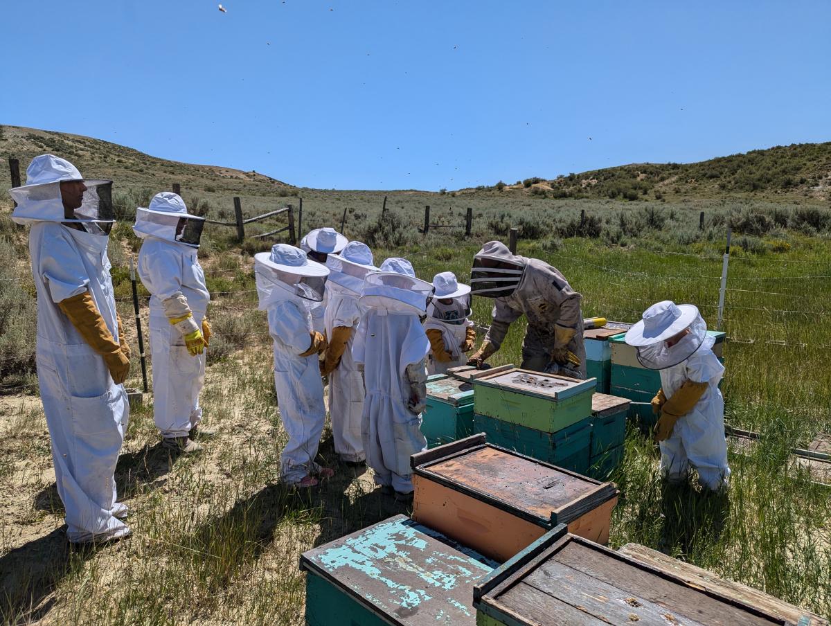 The beehive tour guide instructs a person getting ready to enter the beehive area.