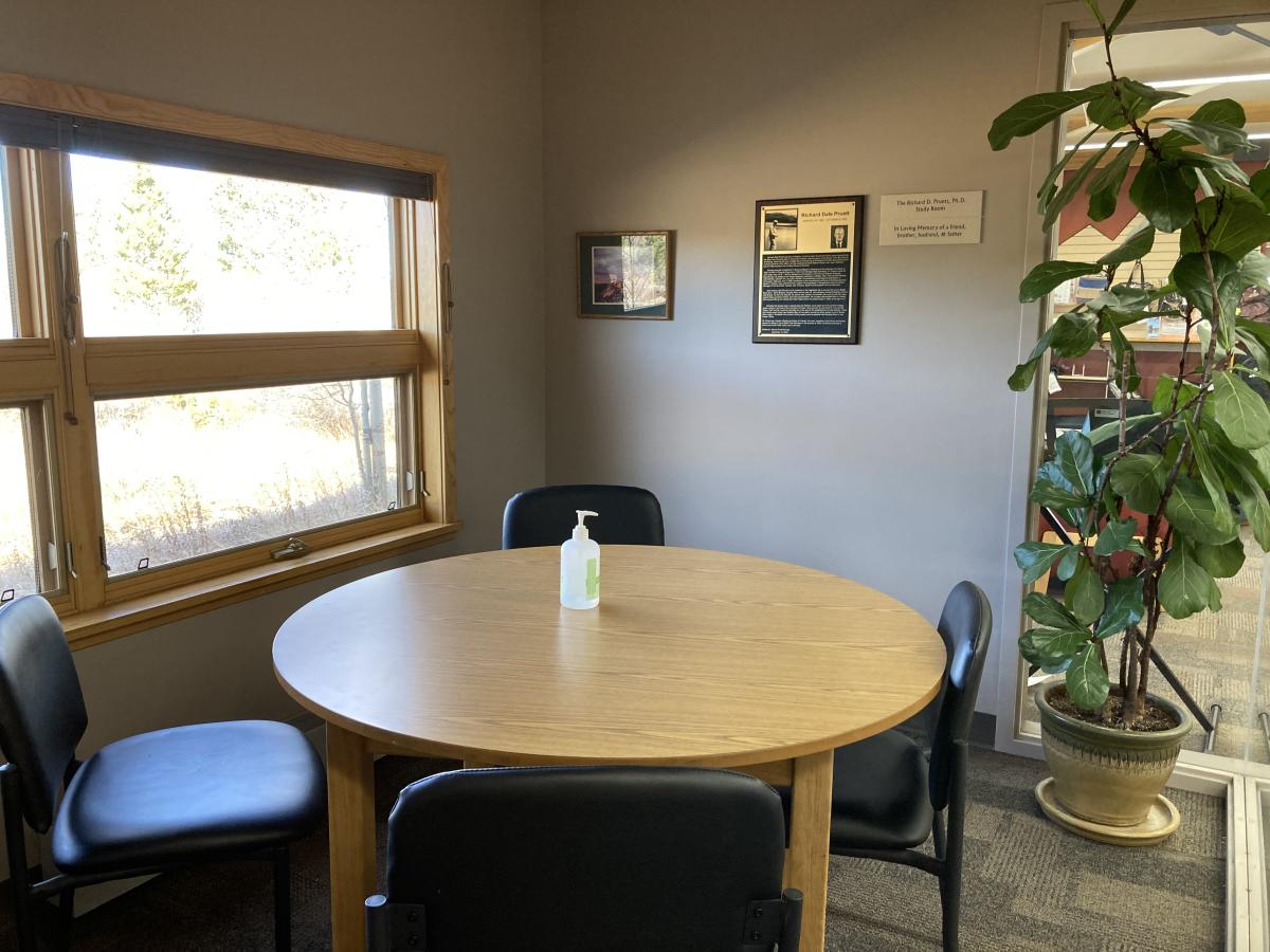 Windowed room with round table, 4 chairs, and a plant